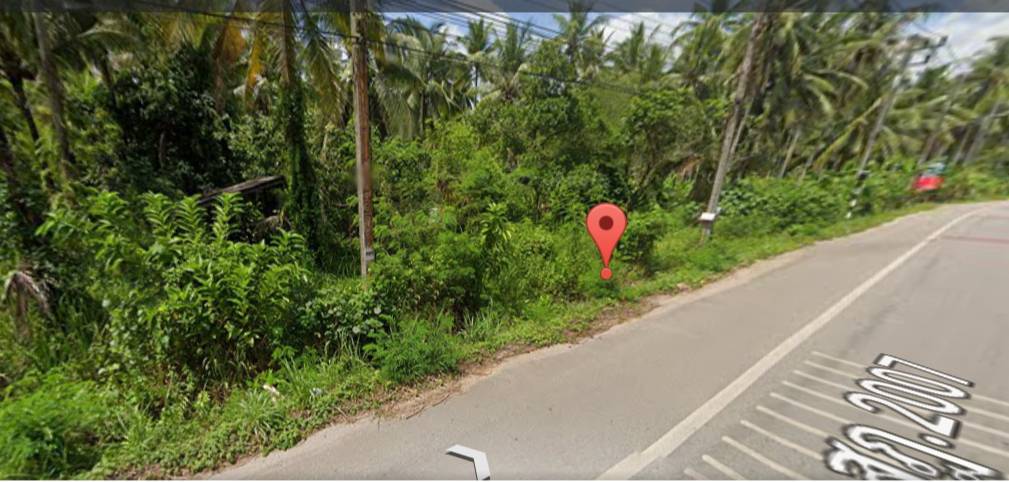 ขายที่ดิน สุราษฎร์ธานี 302 ตรว.