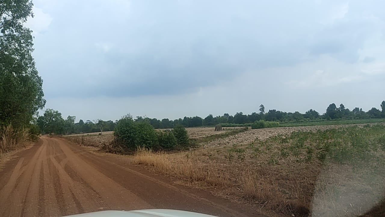ขายที่ดินเพื่อการเกษตร