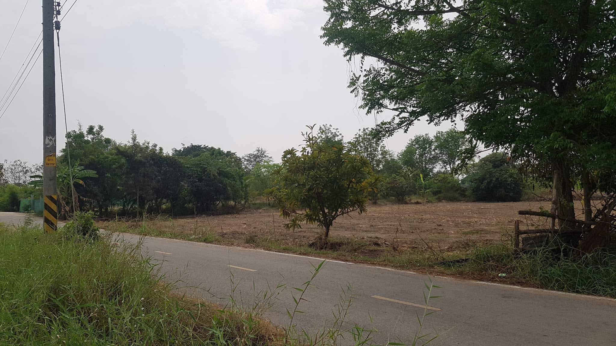 ขายที่ดิน 2 ไร่ ติดถนนและคลองใหญ่ เมืองราชบุรี