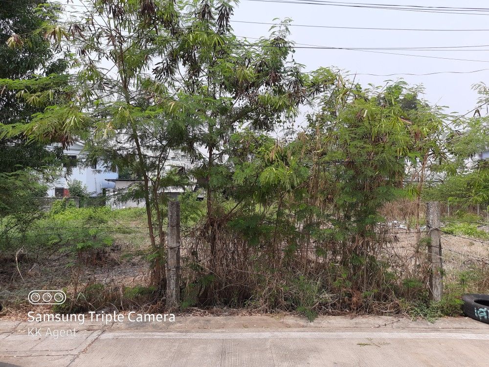 ขายด่วนมาก ที่ดินสวยๆใกล้กับตลาดพูนทรัพย์ 100-200ตรว.