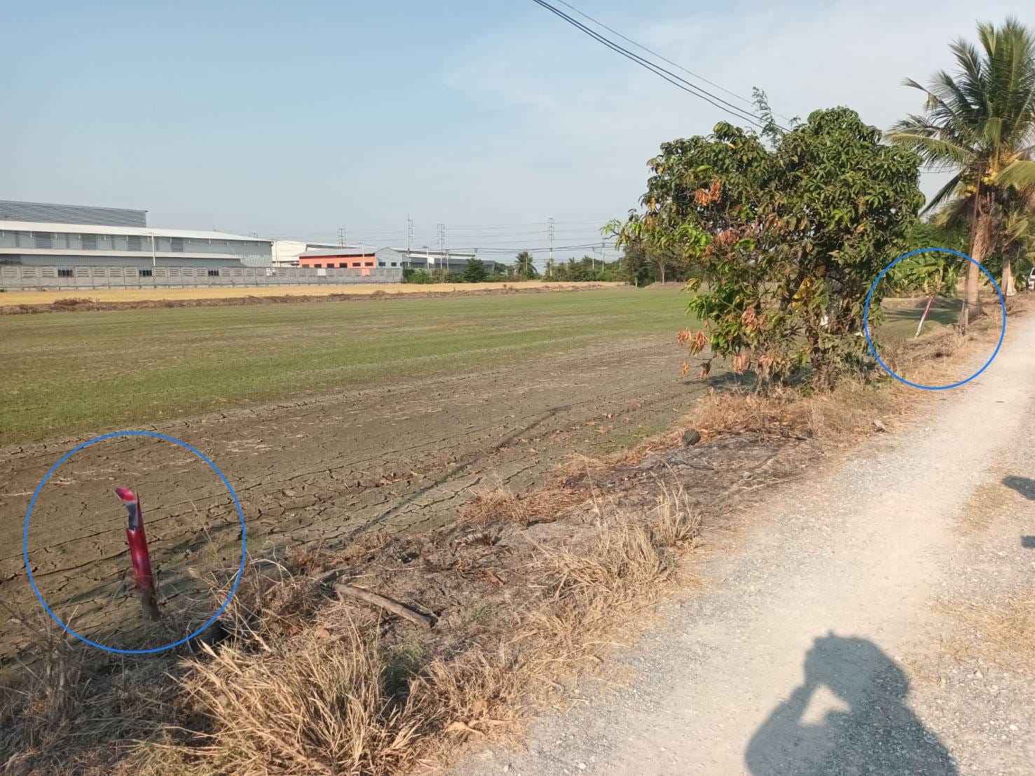 ขายที่ดินไทรน้อยทำเลดี