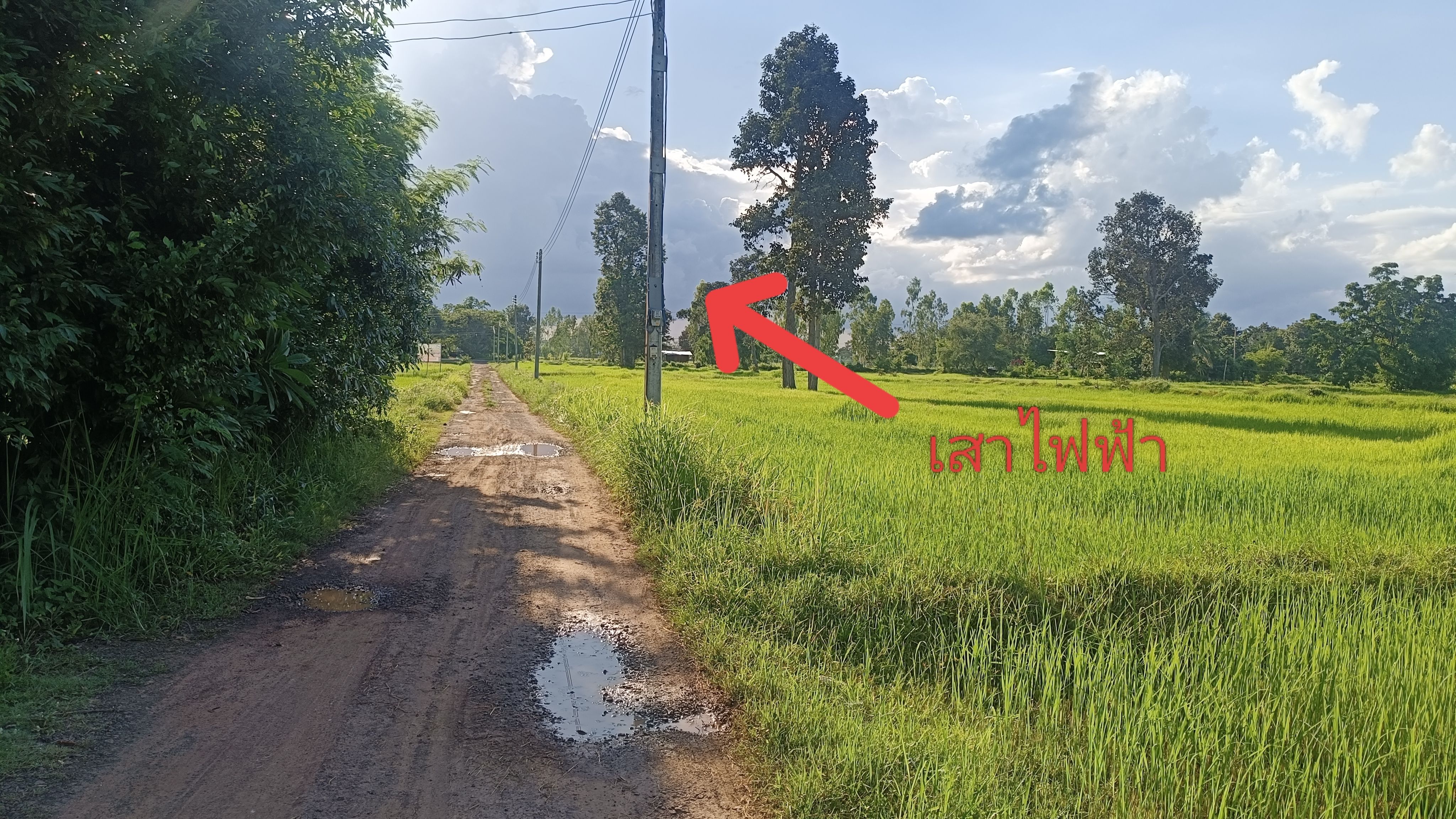ที่ดินที่นา