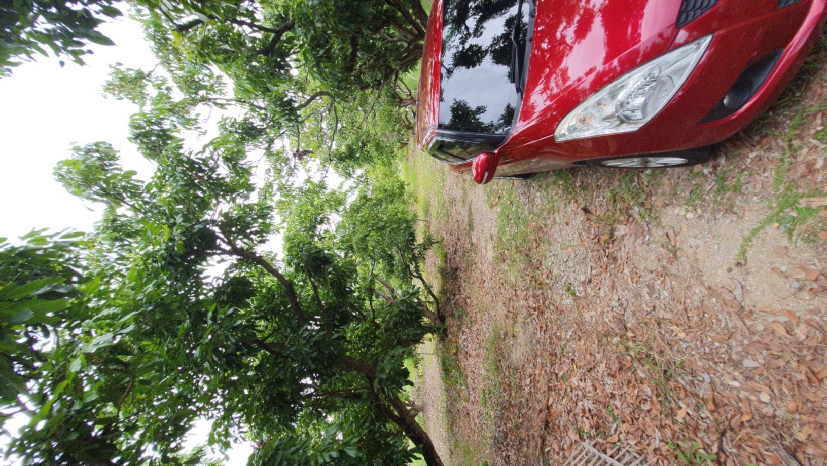 DD#0127 ขายที่สวน ต.หนองตอง อ.หางดง เชียงใหม่ 4ไร่-1งาน-59ตร.วา