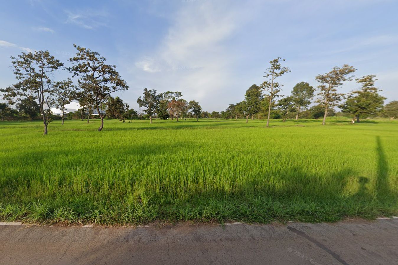 ขายที่ดินอุบลราชธานี 71 ไร่ ใกล้ถนน 4 เลน อ.สำโรง