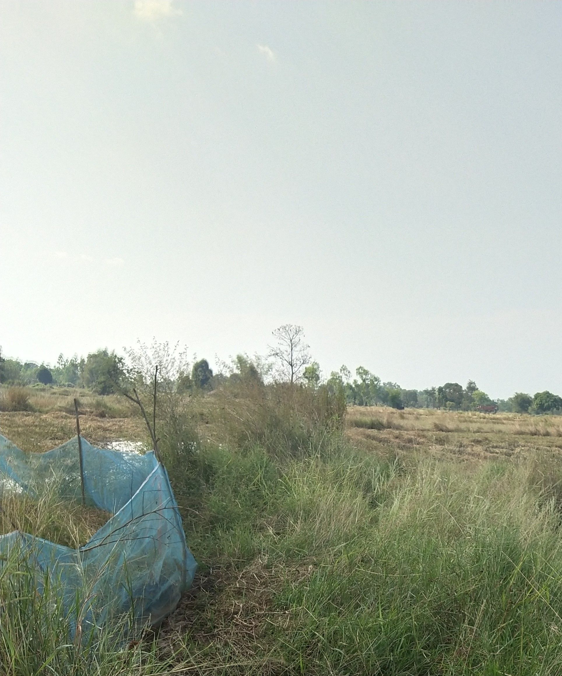 ขายที่ดินนครพนม อำเภอเมือง ต.นาราชควาย อ.เมือง 3ไร่ 69 ตรว