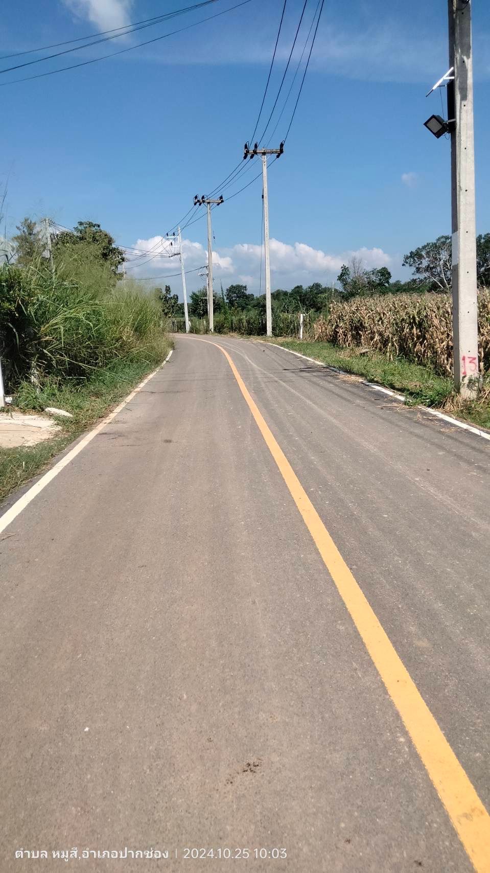 ขายที่ดินเขาใหญ่ หมูสี (ผ่อนได้) ใกล้ครีมายา ทอสคาน่า แบ่งแยกโฉนดให้แล้ว 8 แปลง จังหวัดนครราชสีมา อำเภอปากช่อง ตำบลหมูสี