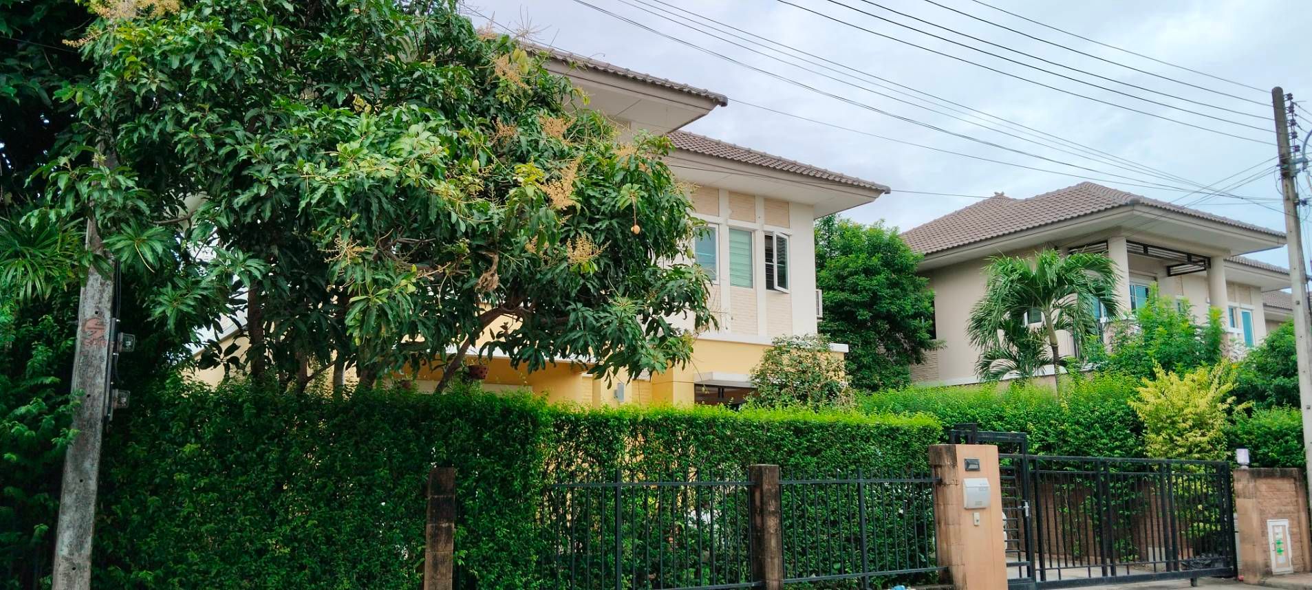 ขายบ้านปทุมธานี บ้านเดี่ยว 2 ชั้น 61 ตร.ว ธัญบุรี ปทุมธานี 0-0-61.1