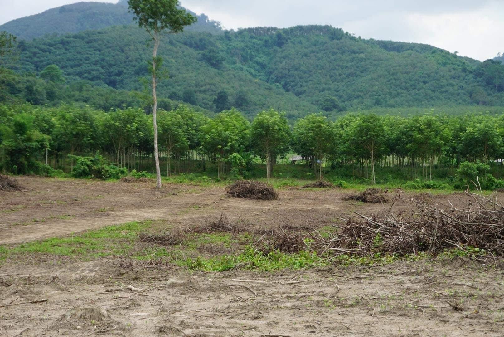 ขายที่ดินสวยทำเลดีวิวภูเขาติดลำธาร บ้านค่าย ระยอง 1-3-40 ไร่