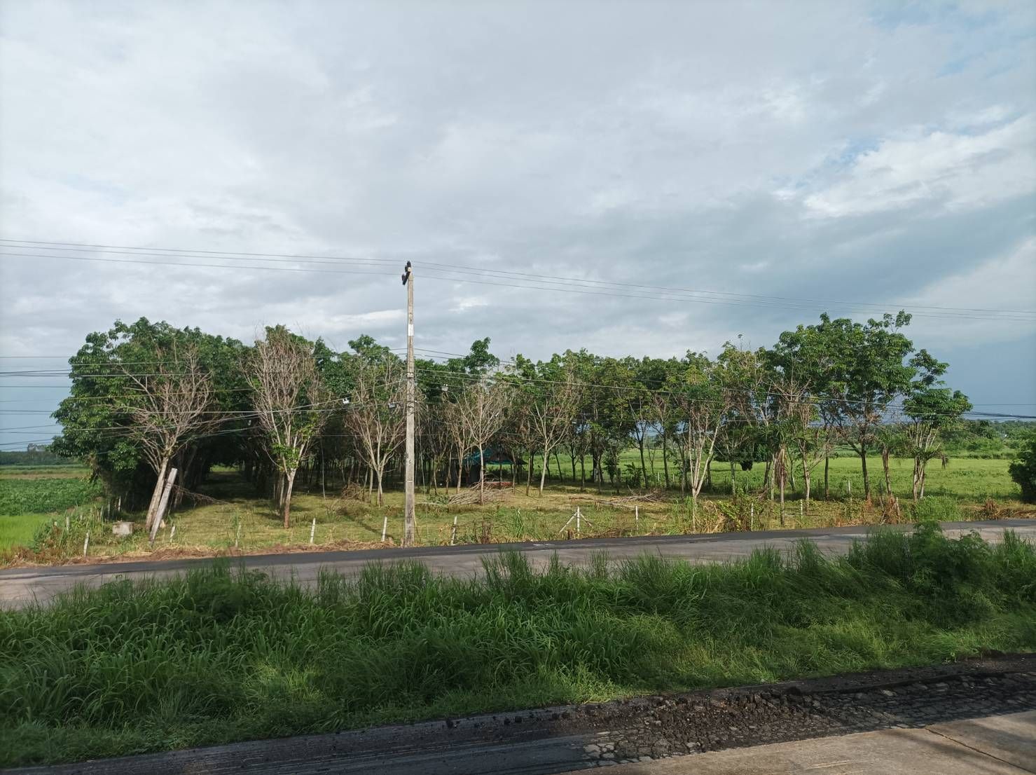 ขายที่ดินอุดรธานี โนนสะอาด ที่ดินแปลงสวย ติดถนนมิตรภาพ น่าลงทุน 3-2-60 ไร่.