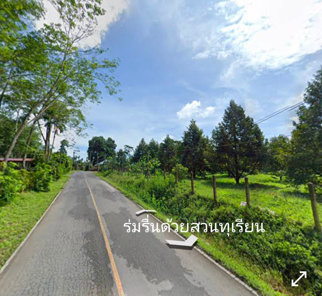 จัดที่ดินเปล่าขาย ผ่อนได้สบายๆ 
