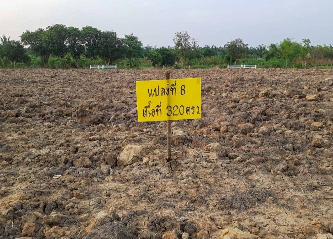 ที่ดินแบ่งขายหลายแปลง แปลงสวย บรรยากาศดี ลำลูกกา ปทุมฯ