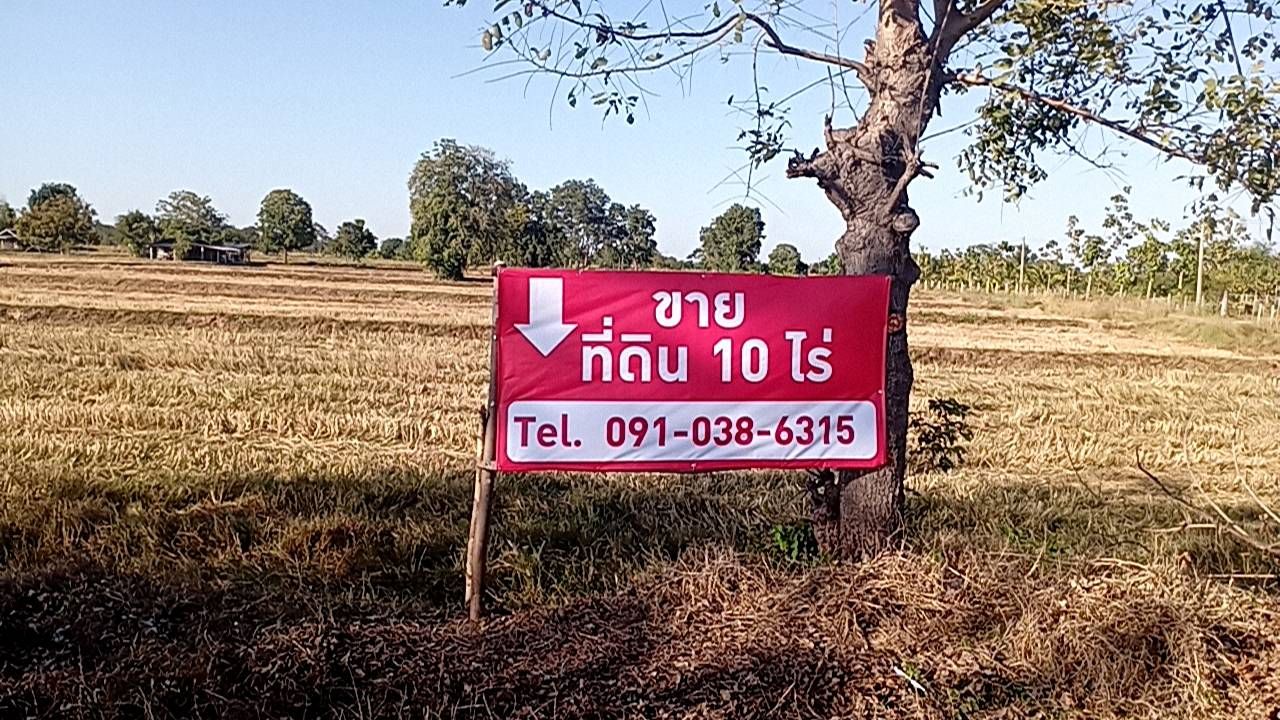 ขายที่ดิน 10 ไร่ อ.ลำปลายมาศ จ.บุรีรัมย์