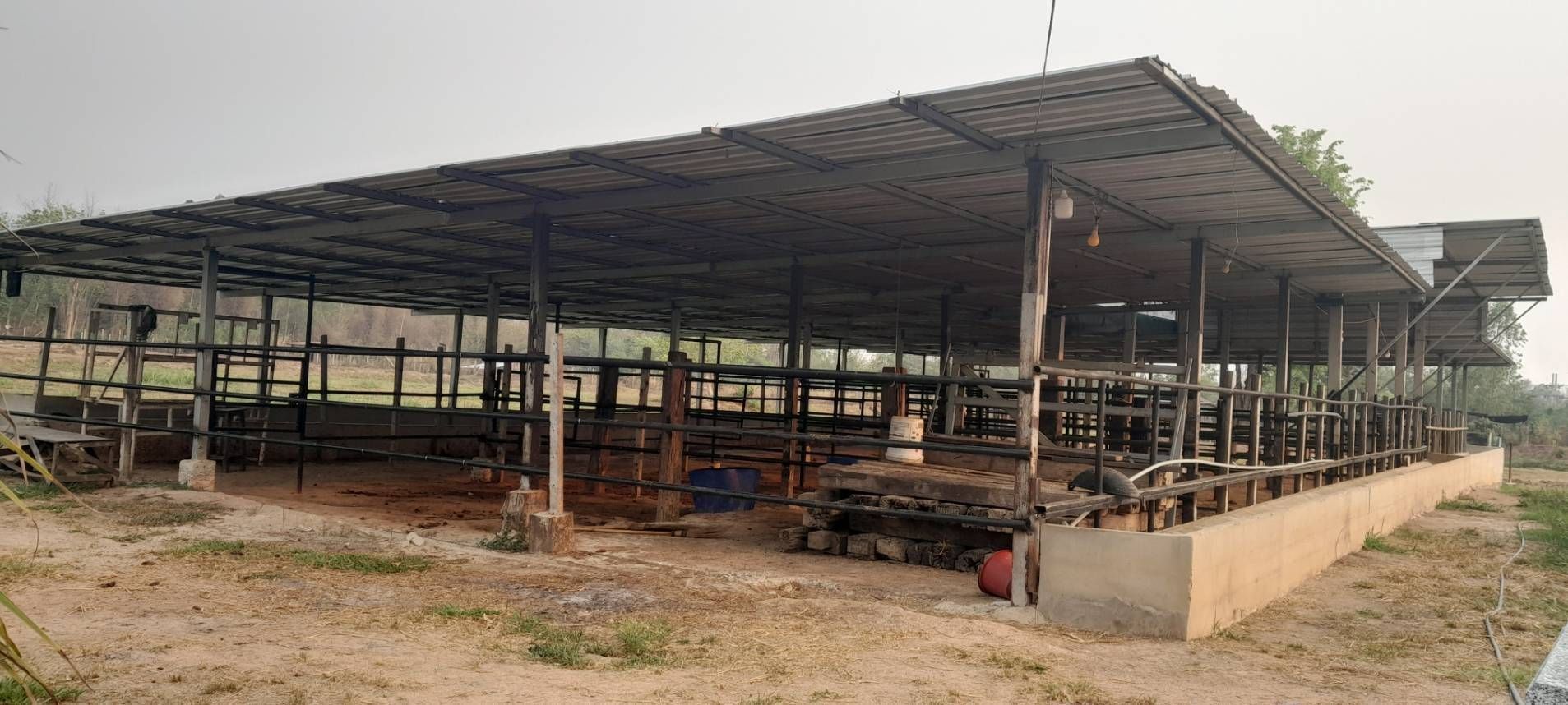 ที่ดิน พร้อมโรงปศุสัตว์ ต่อยอดได้เลย