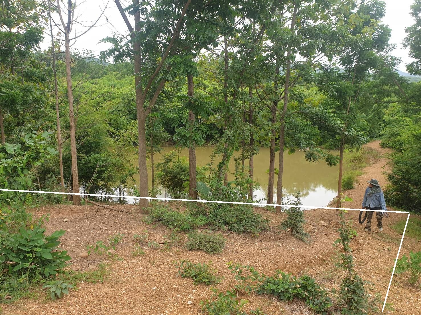 ที่ดิน เพชรบูรณ์ 9-3-24