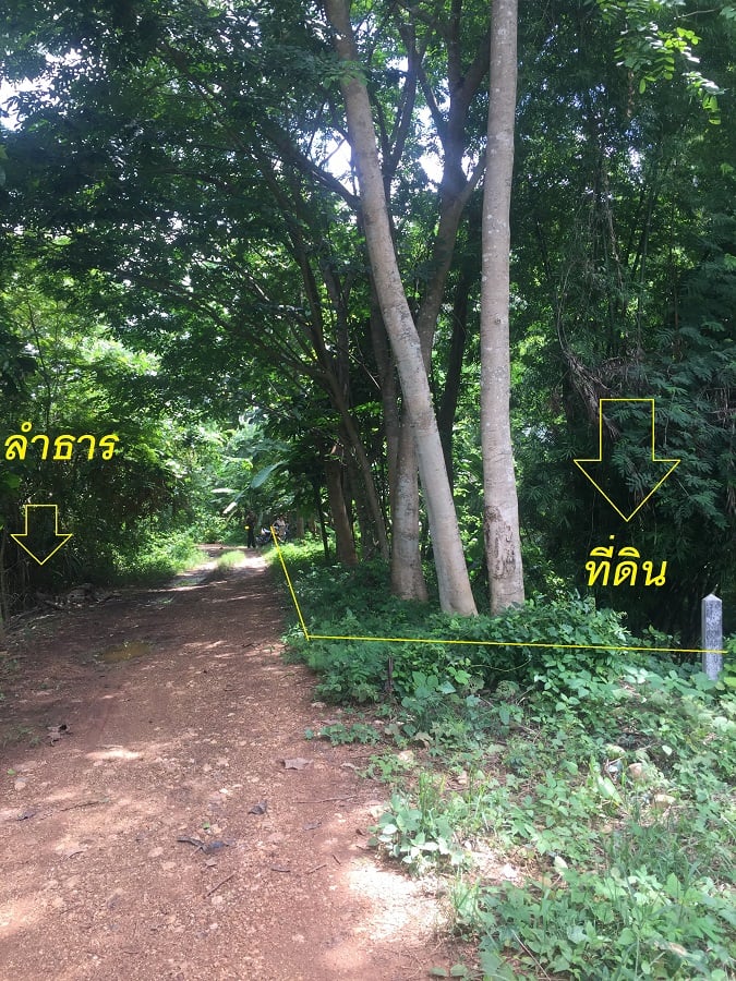 ที่ดินสวน เมืองเพชรบูรณ์ 1-2-70 ไร่