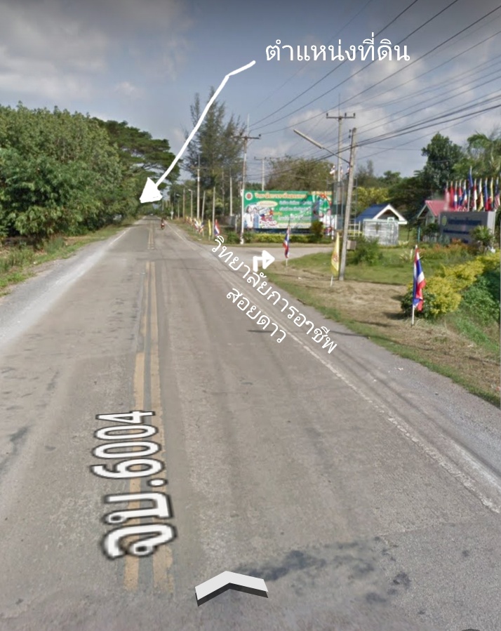 ขายที่ดินโฉนด พร้อมสวนลำใย อำเภอ สอยดาว จันทบุรี ขนาด 1 ไร่ 24 ตร.วา