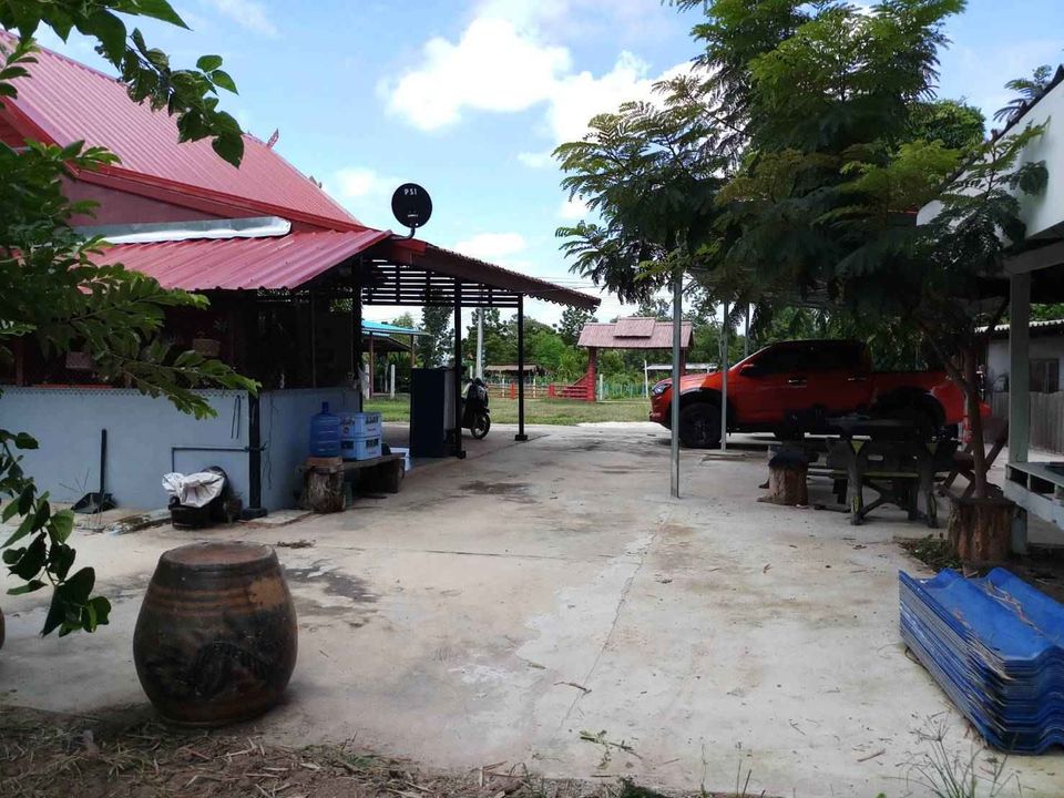บ้านพร้อมที่ดิน บ้านด่าน บุรีรัมย์ 0-2-19