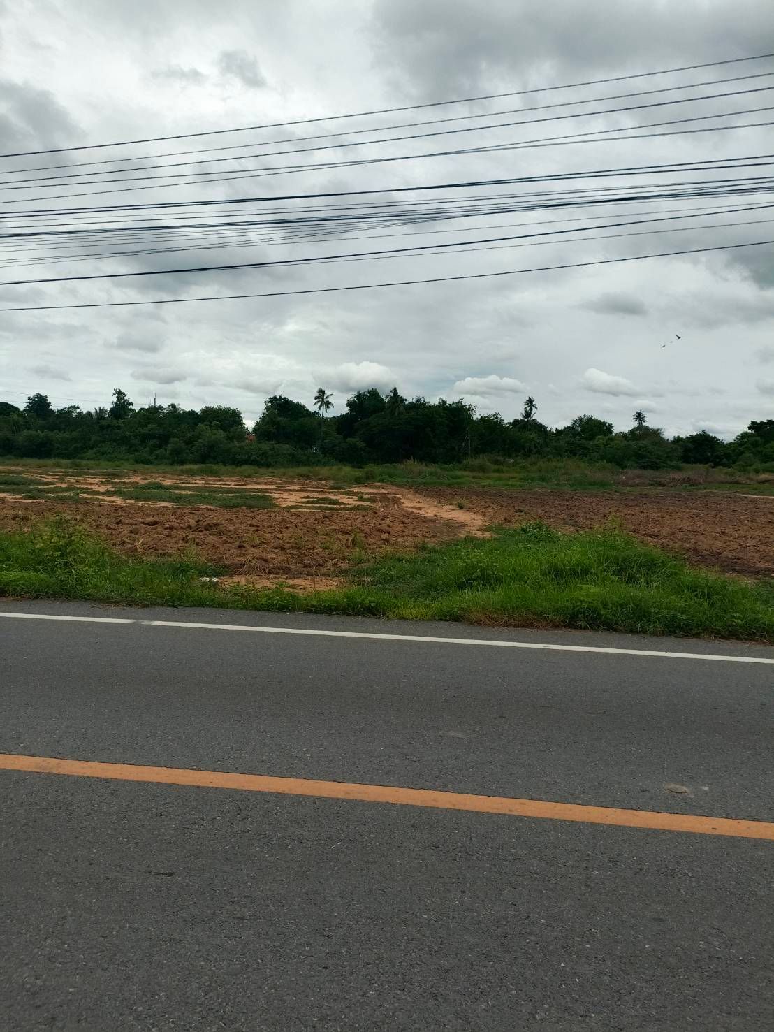 ขายที่ดินเปล่า 10 ไร่ 3 งาน 76 ตรว. (4,376 ตรว.) ตำบลกระตีบ อำเภอกำแพงแสน จังหวัดนครปฐม 