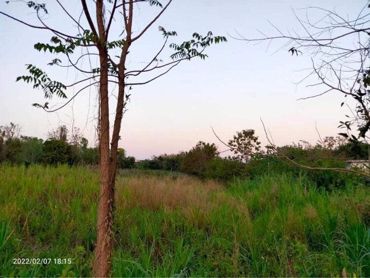 ที่ดินเปล่าอุตรดิตถ์ 5-3-94.4