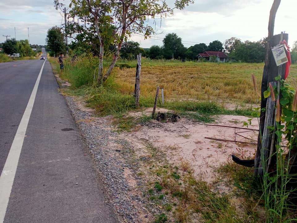 ขายที่ดิน มหาสารคาม 1-3-87.8 ไร่