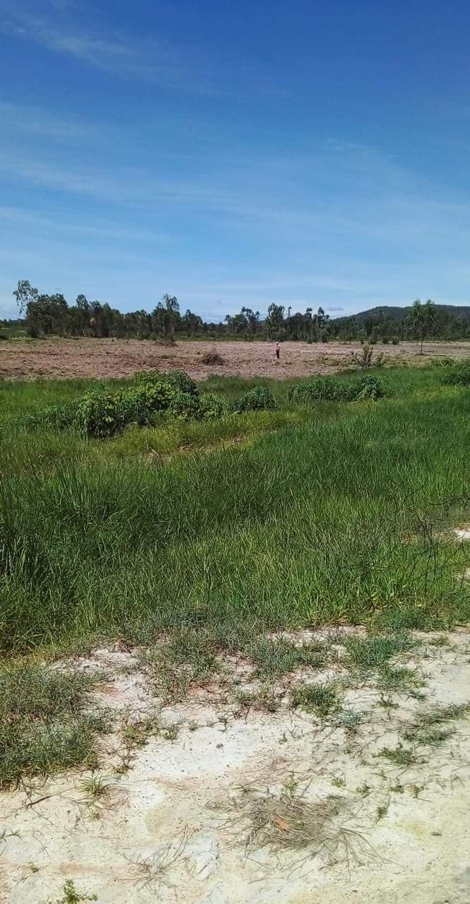 ที่ดินเปล่าแปลงใหญ่ ติดโรงงานตะวันแดง หันคา ชัยนาท 1165-0-0 ตร.ว.