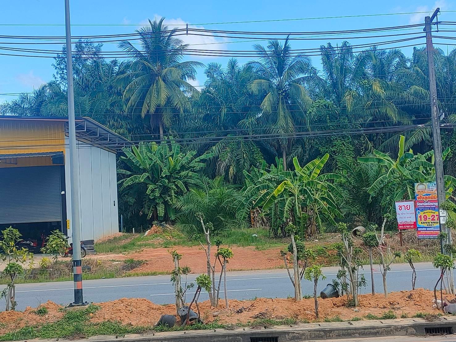 ที่ดินแปลงสวย คลองท่อม กระบี่ 