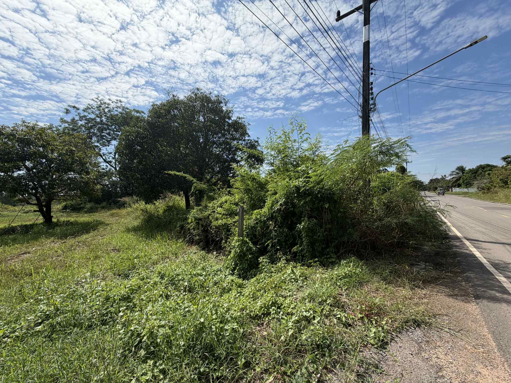 ขายที่ดินอุดรธานี อำเภอเมือง ที่ดินเปล่าติดถนน 