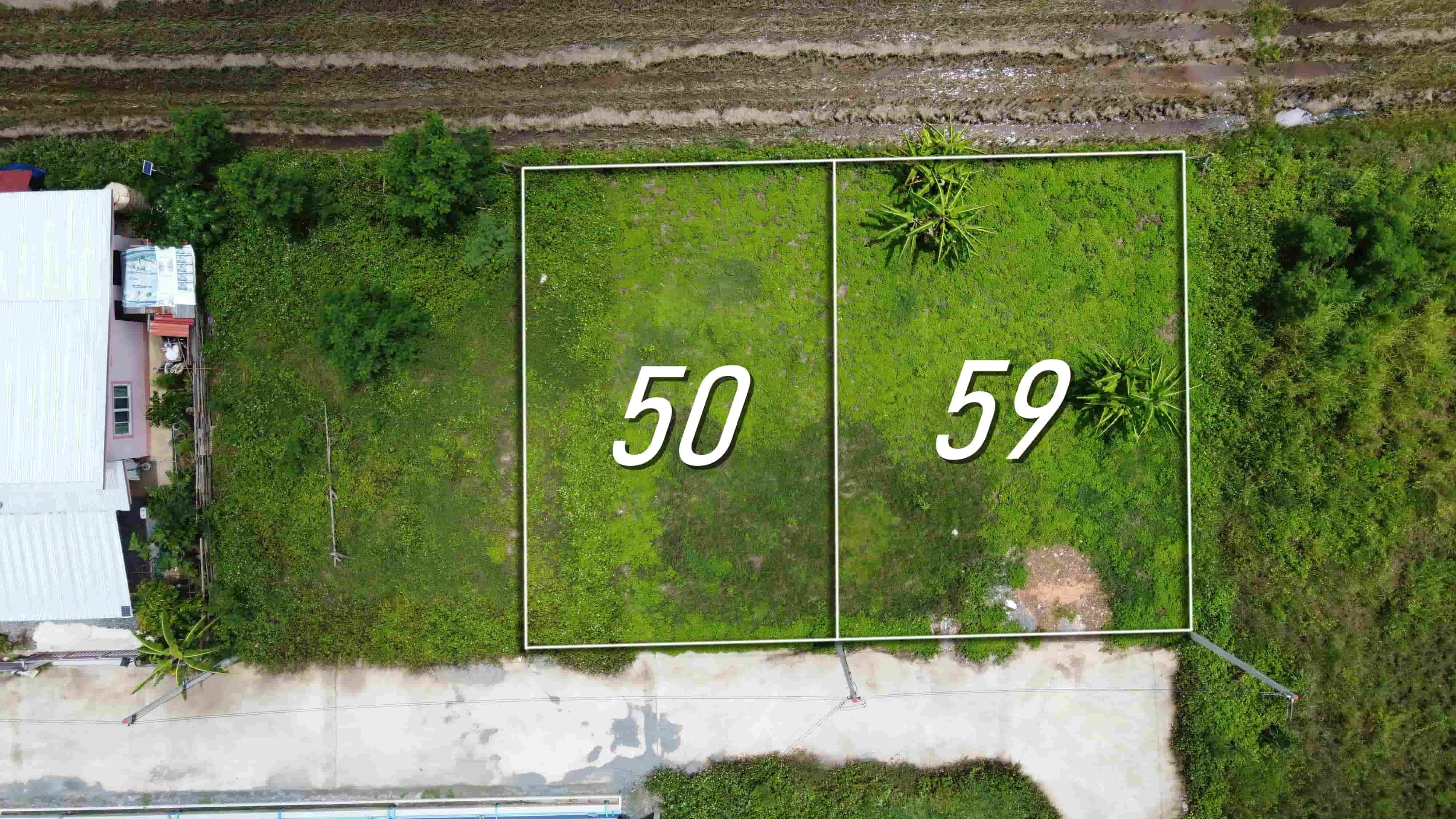 ขายที่ดินเชียงใหม่ สันกำแพง แบ่งขาย 50 และ 59 ตร.ว. เริ่มต้น 300,000 บาท น้ำไฟถนนคอนกรีตพร้อม!