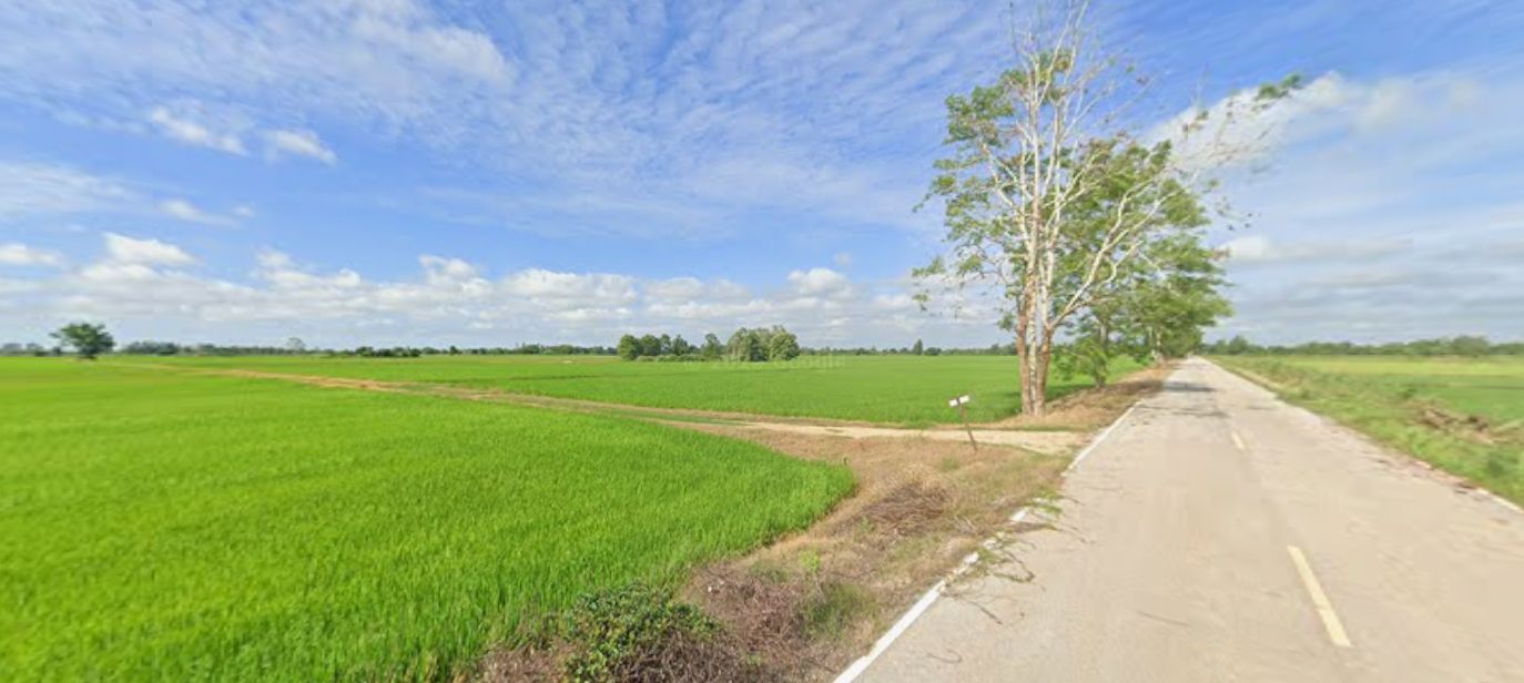 ขายที่นา 2 ไร่ ราคาถูก ต.ท่านางงาม อ.บางระกํา จ.พิษณุโลก (โฉนด ครุตแดง)