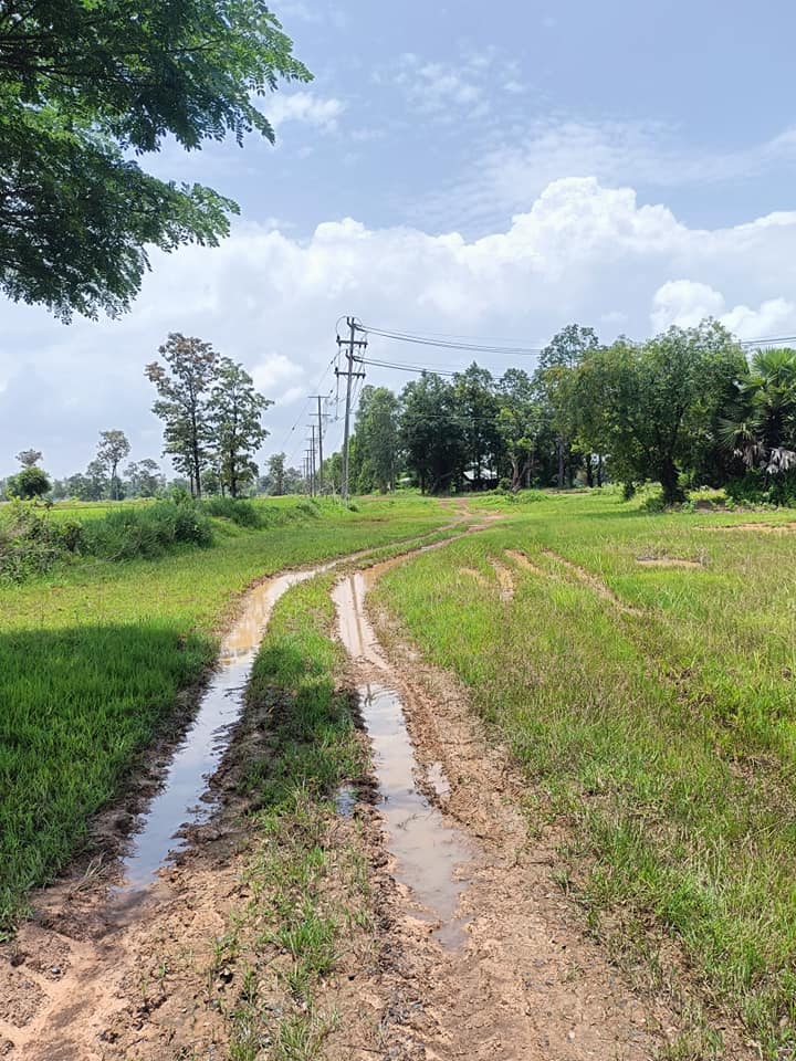 ขายที่ดินอุบลราชธานี อ.เดชอุดม 1-1-50