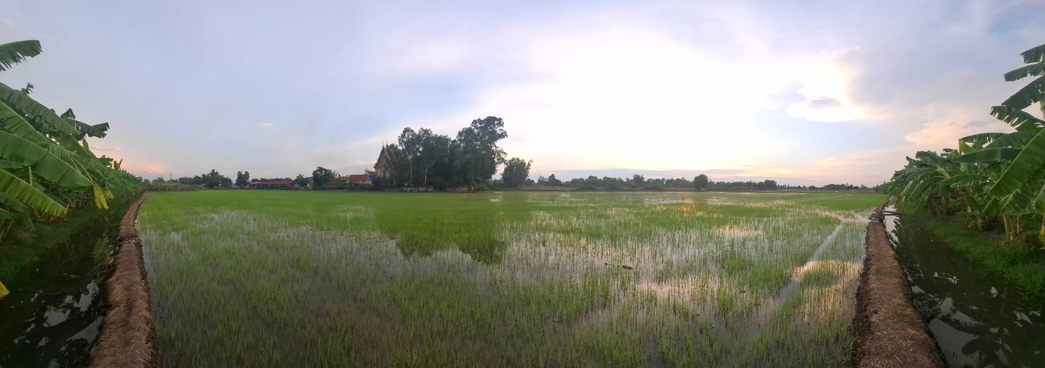 ขายที่ดินนครนายก(ด่วน)