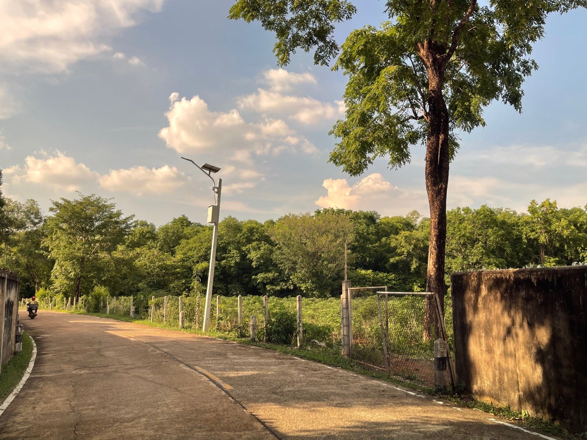 ขายที่ดิน ต.ประจันตคาม  อ.ประจันตคาม จ.ปราจีนบุรี 10 ไร่ 2 งาน 50 ตร.ว น้ำไฟ เข้าถึง มีถนนคอนกรีดตัดผ่านตลอดแนวด้านหน้าที่ดิน **ราคา 4.2 ล้านบาท** 