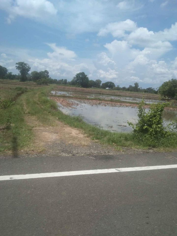ที่นาแบ่งขาย 4ไร่ วาริน อุบลราชธานี 
