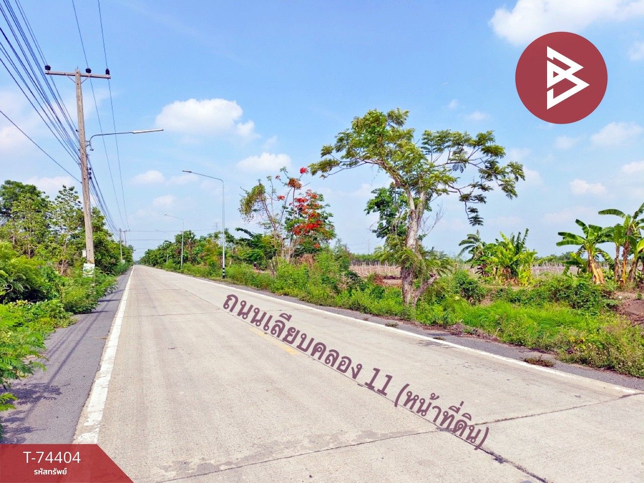 ขายที่ดินปทุมธานี แบ่งขายที่ดิน 10, 20, 30 และ50 ไร่ อ.หนองเสือ คลอง 11 ปทุมธานี