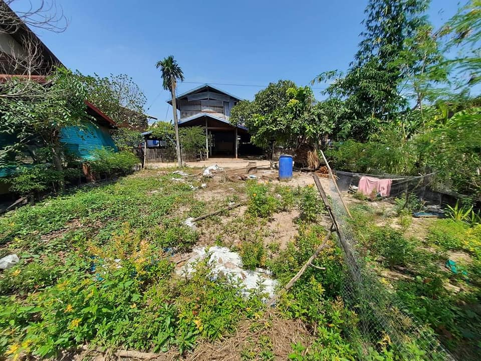 ขายที่ดิน อุบลราชธานี 36.8 ตรว.