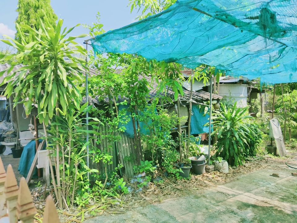 ที่ดินพร้อมสิ่งปลูกสร้าง ตาก 161 ตรว.