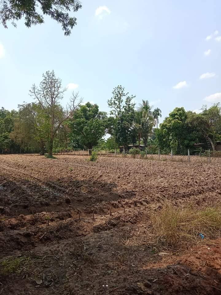 ที่ดินเปล่าแปลงสวย​ บุรีรัมย์ 1-1-21