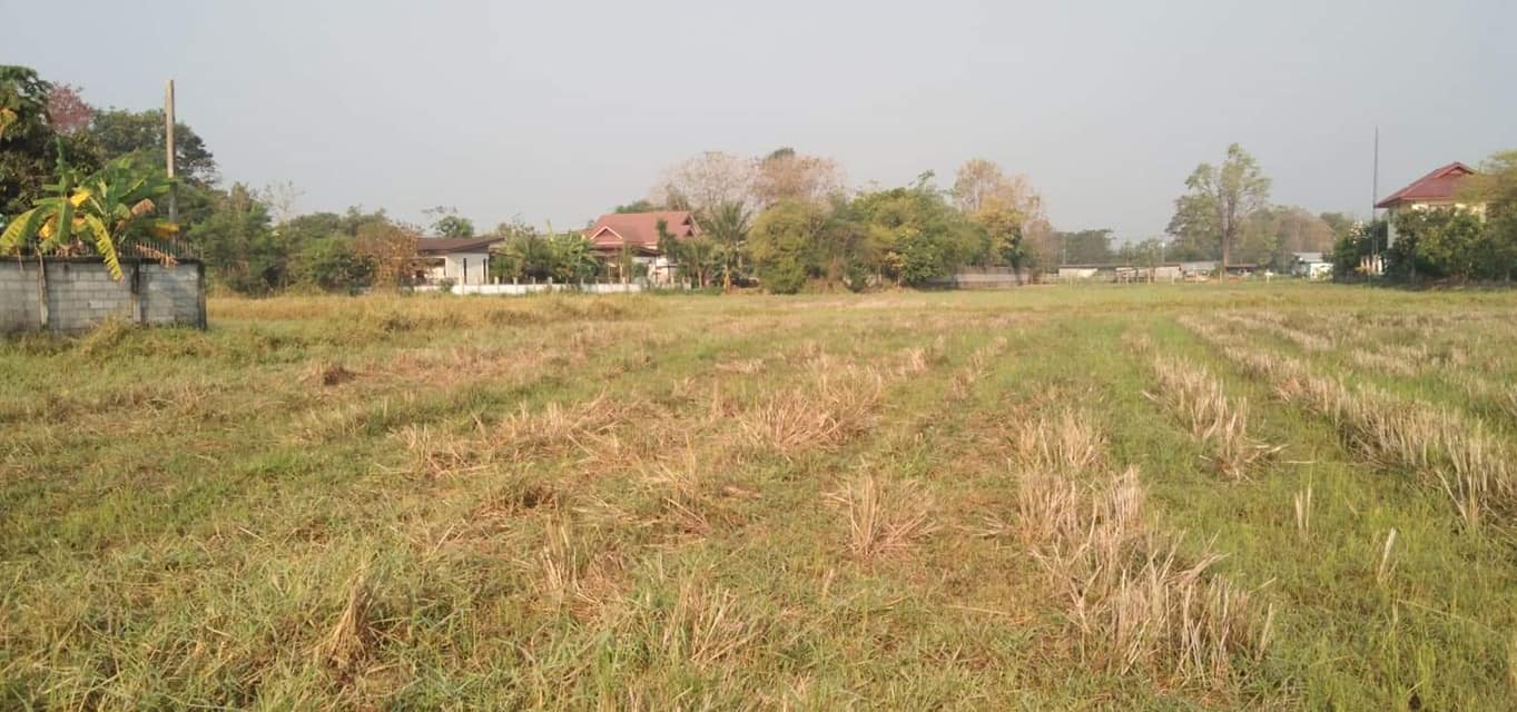 ที่ดินสวย ทำเลดี ข้างซอยลดา คอสเมติกส์ กาฬสินธ์ 2-2-11.9