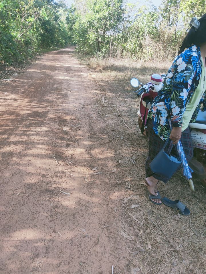 ขายที่ดิน อุดรธานี 4-3-53 ไร่