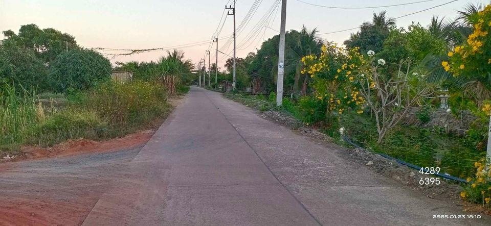 ที่ดิน เป็นสวนมะขามเทศ สมุทรสาคร 3-1-31.2