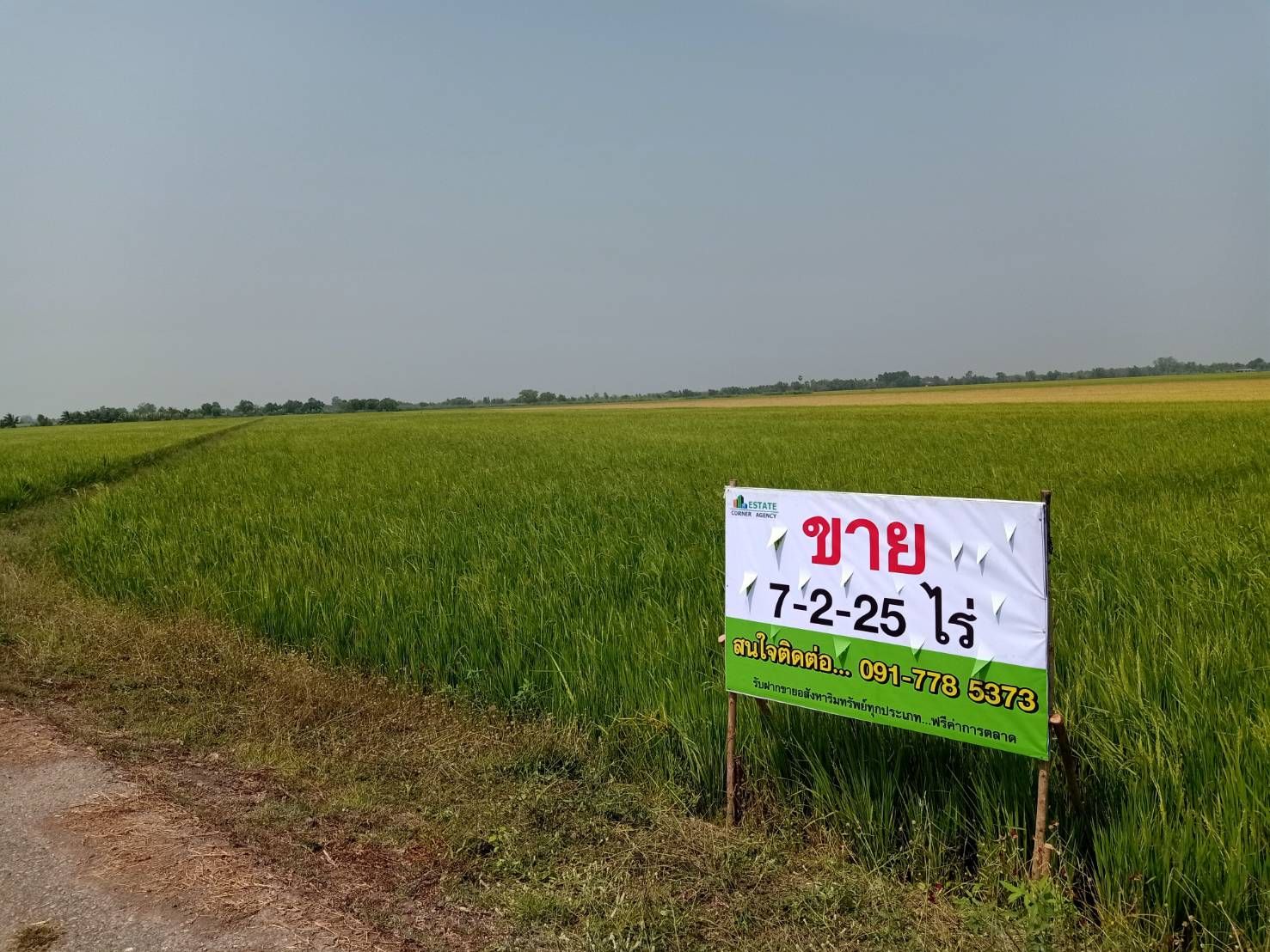 ขายที่ดิน ราคาถูก บางน้ำเปรี้ยว จังหวัดฉะเชิงเทรา