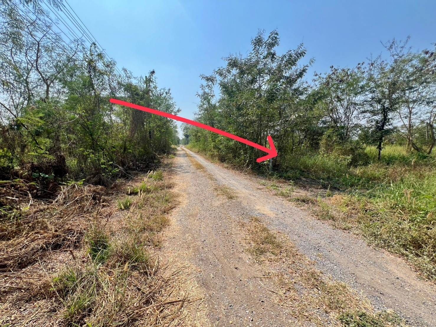ขายที่ดินปทุมธานี แปลงทรงสี่เหลียม สวย น่าลงทุน ใกล้ตลาดคลอง9 หนองเสือ ปทุมฯ 0-1-28