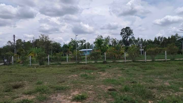 ขายที่ดินสุรินทร์ อำเภอเมือง ขายด่วน