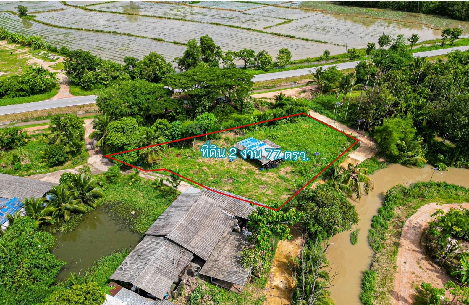 ขายที่ดินเปล่าบ้านค่าย ระยอง 2 งาน 77 ตร.ว. ติดคลอง วิวทุ่งนา 