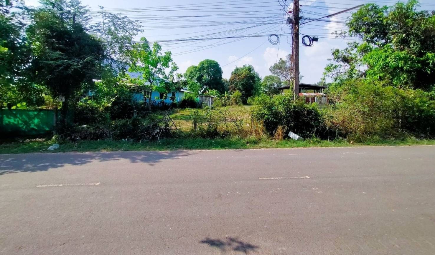 ขายที่ดิย