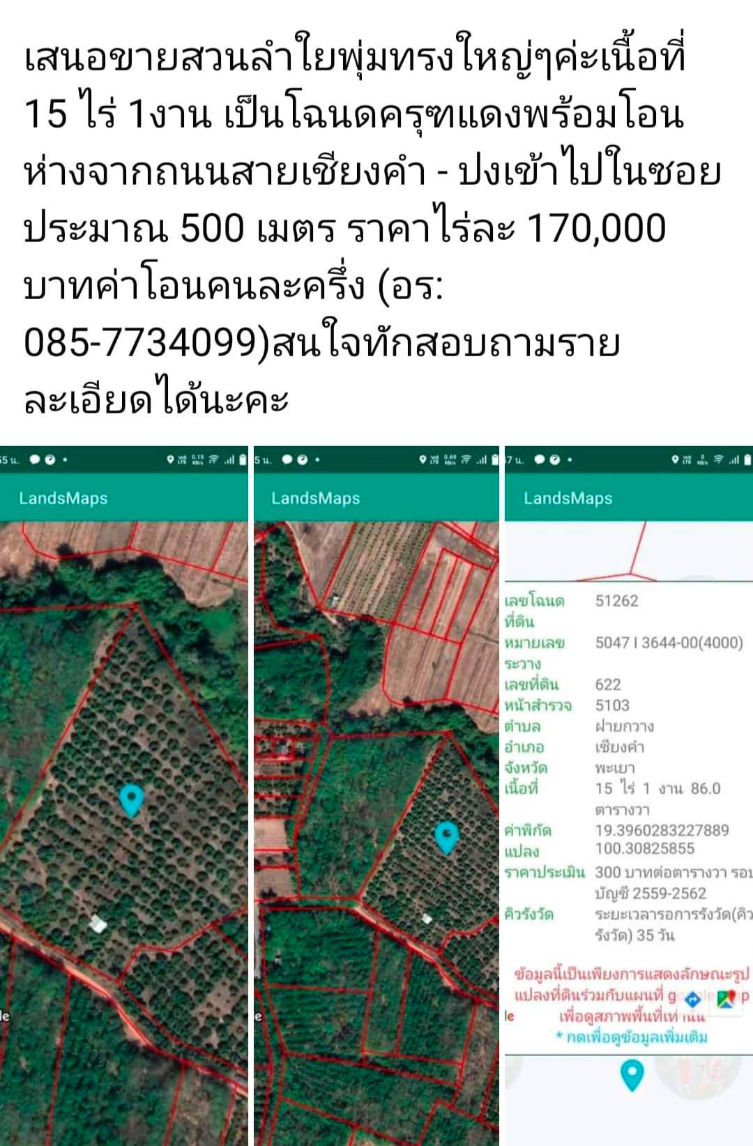 ขายที่ดินพะเยา สวนลำไย เชียงคำ 15-1-86