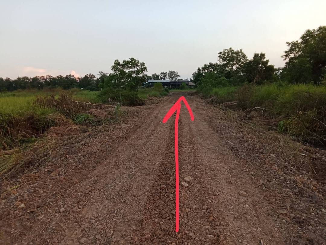 ขายที่ดินปทุมธานี คลองหลวง คลองหก
