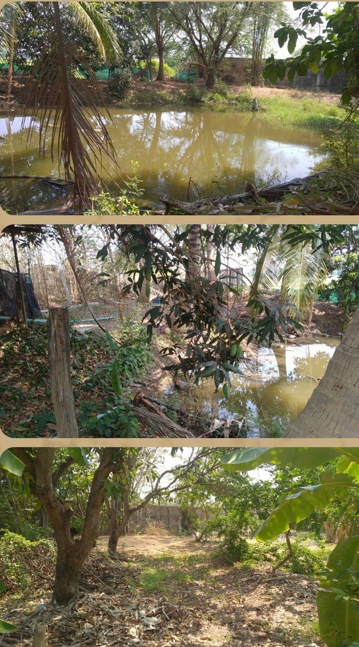 บ้านพร้อมที่ดินทำเลดี ใกล้สนามกอล์ฟรอแยลเมืองราชบุรี