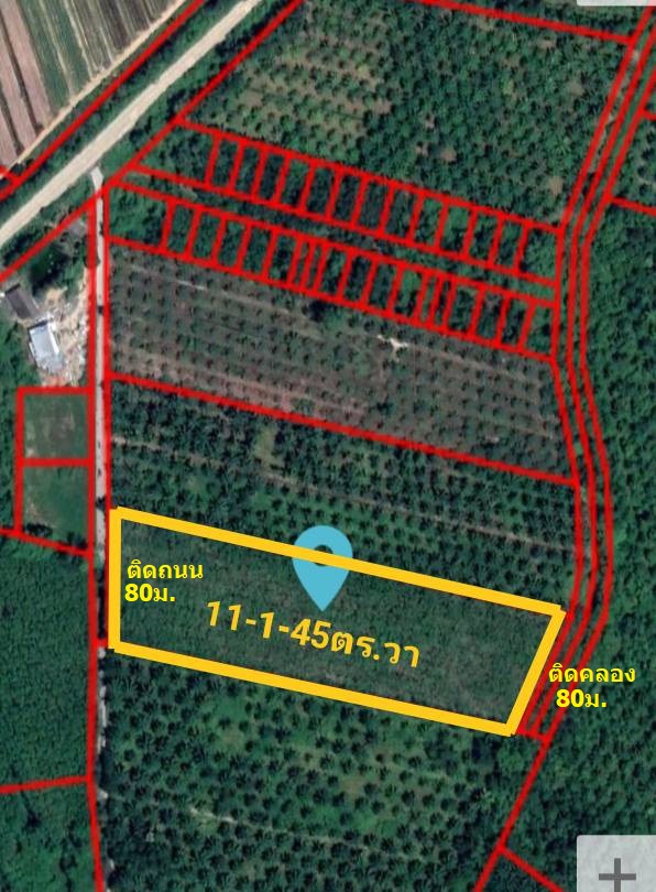 ขายที่ดิน สุราษฎร์ธานี 11-2-45.2 ไร่