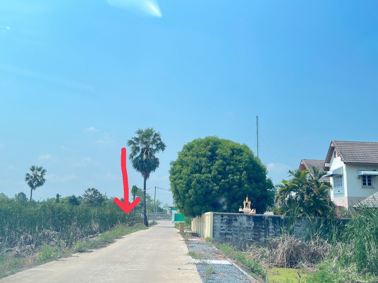 ขายที่ดิน 120 ตร.ว. ทำเลดี ราคาถูกกว่าท้องตลาด